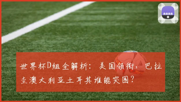 世界杯D组全解析：美国领衔，巴拉圭澳大利亚土耳其谁能突围？